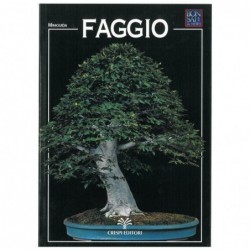 Faggio - Miniguida BONSAI &...